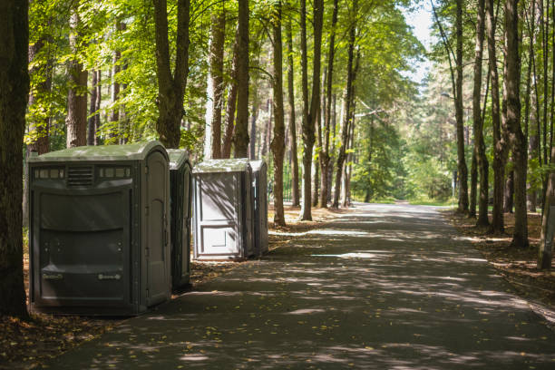 Best Portable bathroom rental  in Rice Lake, MN